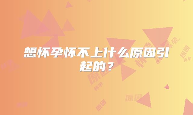 想怀孕怀不上什么原因引起的？