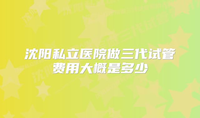 沈阳私立医院做三代试管费用大概是多少