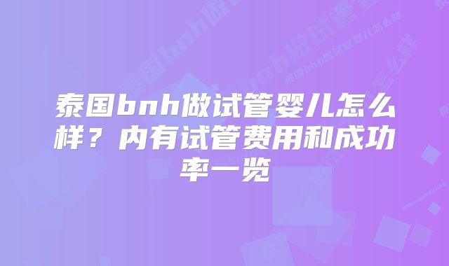 泰国bnh做试管婴儿怎么样？内有试管费用和成功率一览