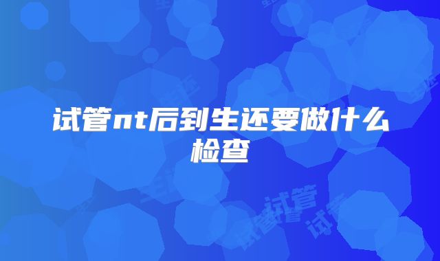 试管nt后到生还要做什么检查