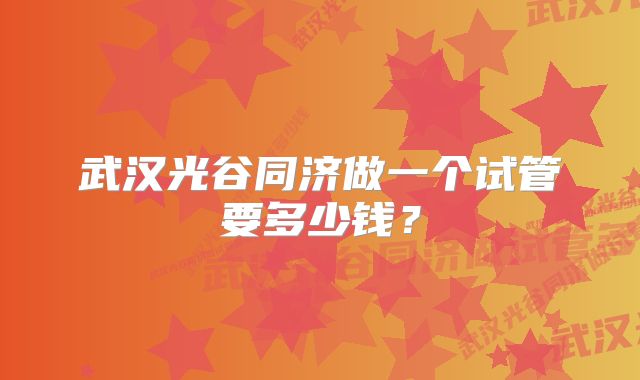 武汉光谷同济做一个试管要多少钱？