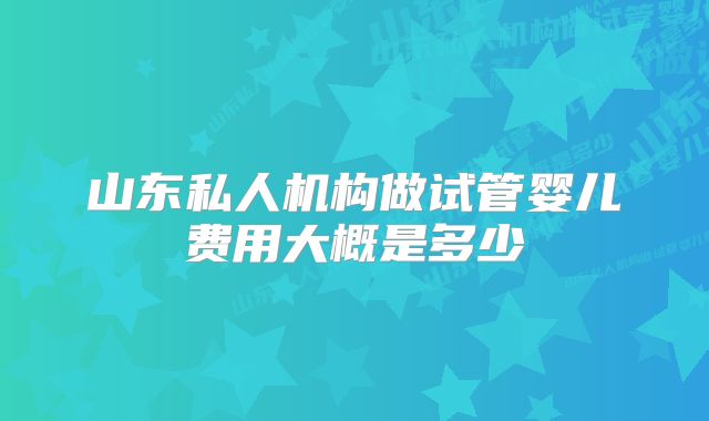 山东私人机构做试管婴儿费用大概是多少