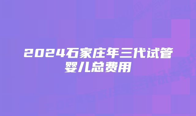 2024石家庄年三代试管婴儿总费用