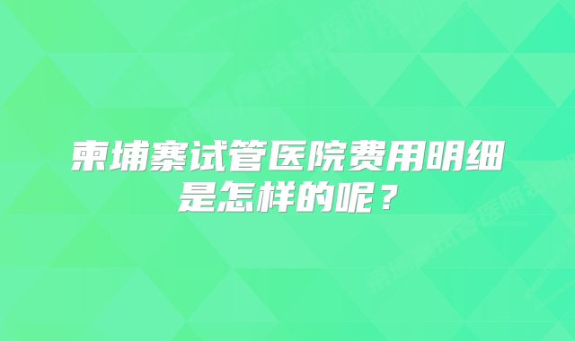 柬埔寨试管医院费用明细是怎样的呢？