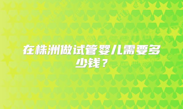 在株洲做试管婴儿需要多少钱？