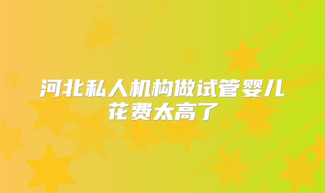 河北私人机构做试管婴儿花费太高了