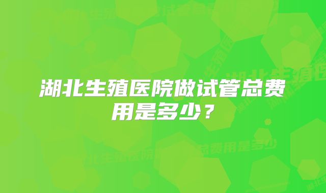 湖北生殖医院做试管总费用是多少？