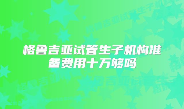 格鲁吉亚试管生子机构准备费用十万够吗