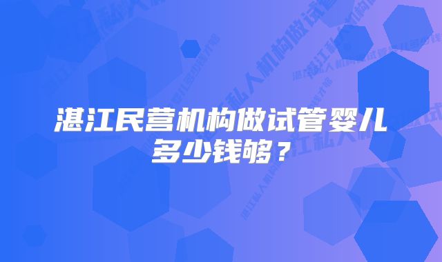 湛江民营机构做试管婴儿多少钱够？