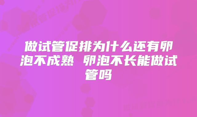 做试管促排为什么还有卵泡不成熟 卵泡不长能做试管吗