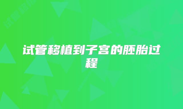 试管移植到子宫的胚胎过程