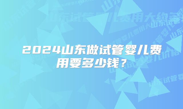 2024山东做试管婴儿费用要多少钱？