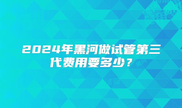 2024年黑河做试管第三代费用要多少？