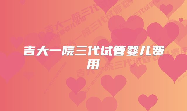 吉大一院三代试管婴儿费用