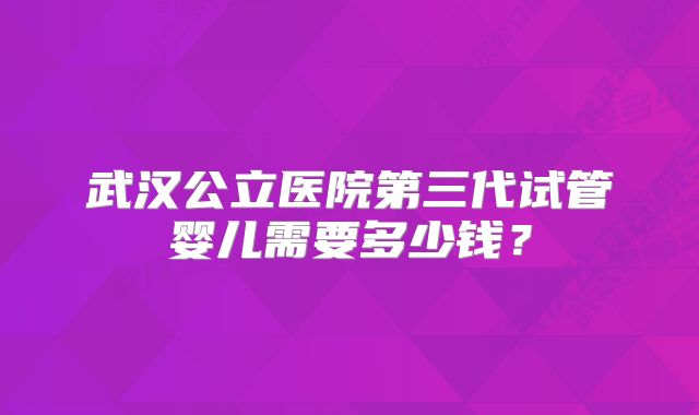 武汉公立医院第三代试管婴儿需要多少钱？