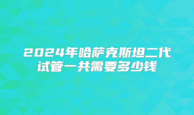 2024年哈萨克斯坦二代试管一共需要多少钱