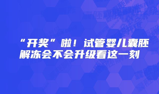 “开奖”啦！试管婴儿囊胚解冻会不会升级看这一刻